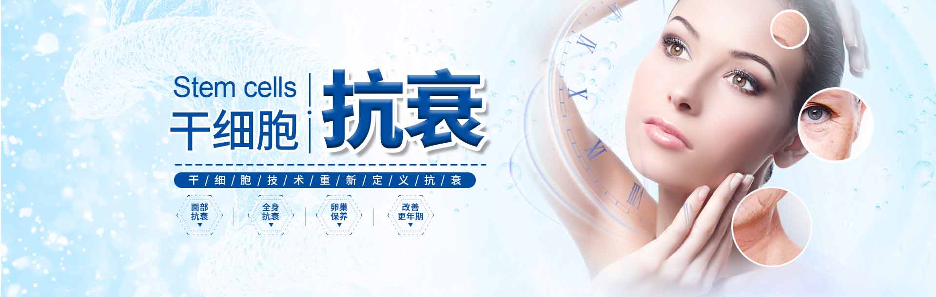 干细胞抗衰