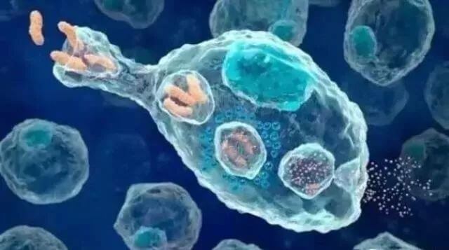 NK细胞免疫疗法攻克恶性肿瘤更具“威慑力”