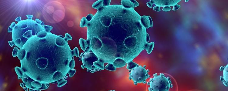 NK细胞免疫疗法已应用于两项开展防控新型冠状病毒的临床研究!