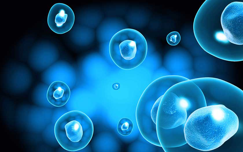 干细胞移植项目或9月批准上市，5大特性对抗各大疾病
