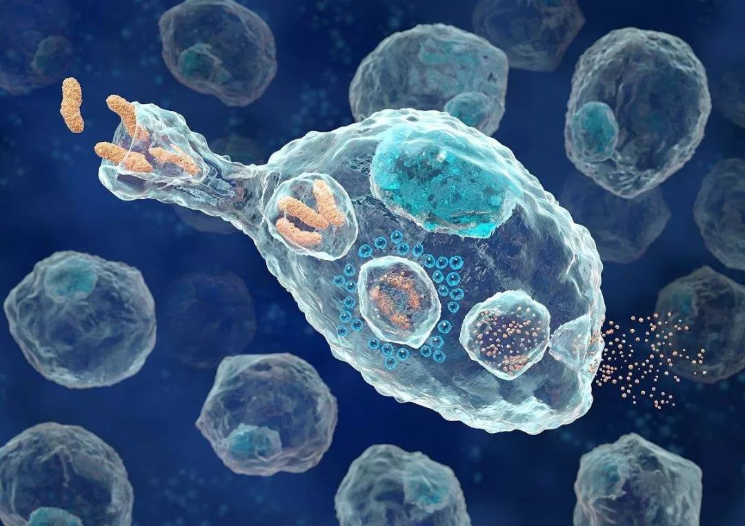 NK细胞疗法经过科学验证，是对抗癌症的新型治疗方法