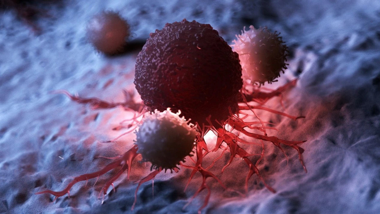 最新消息：新一代CAR-NK细胞疗法备受瞩目