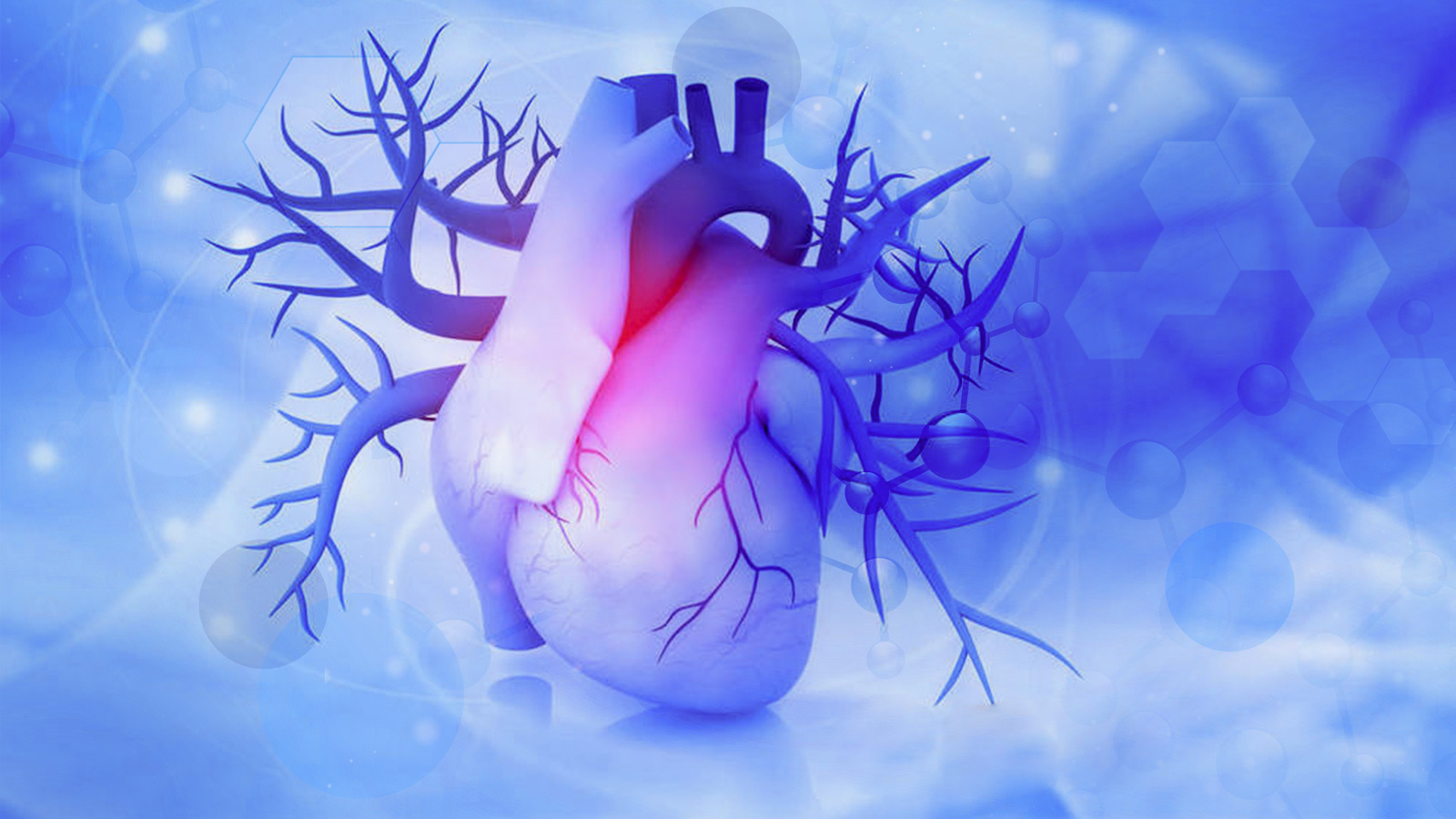 干细胞外泌体技术在心梗中发挥重要作用