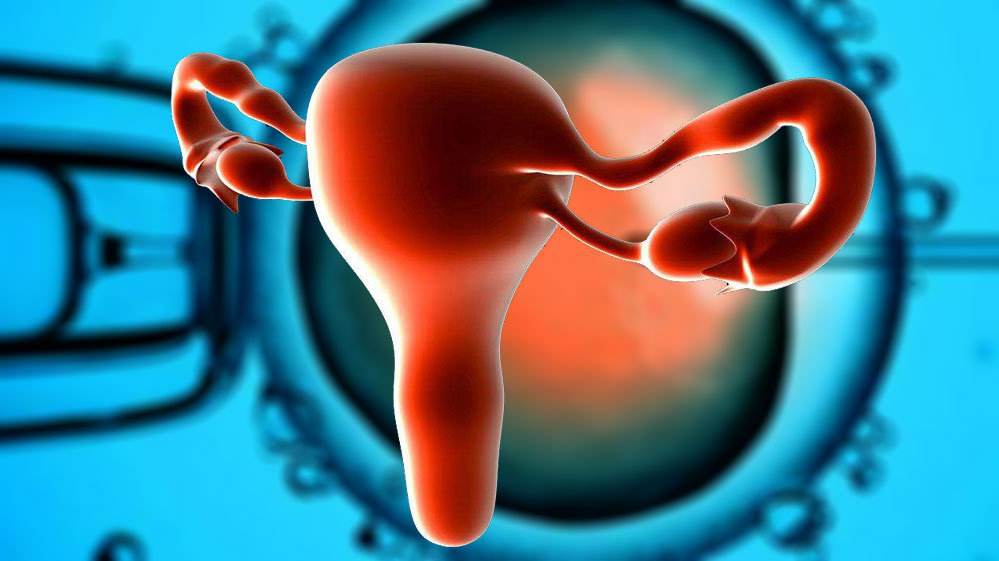 干细胞治疗卵巢早衰，4种途径恢复卵巢功能