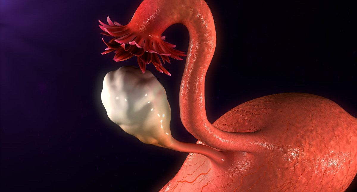 重视卵巢储备功能减退，干细胞疗法提高生育力