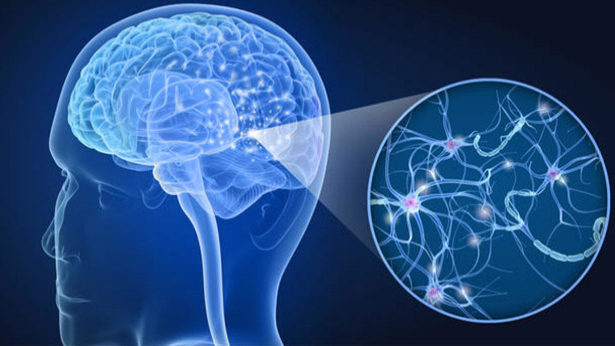 干细胞疗法有效改善脑卒中后遗症问题