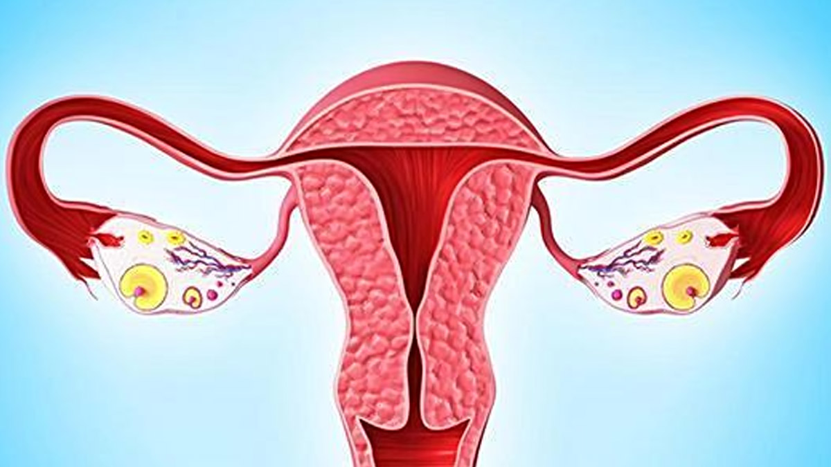 干细胞移植治疗卵巢早衰的临床研究案例