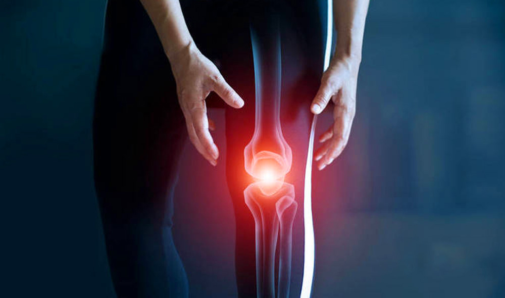 间充质干细胞在膝骨关节炎中的研究进展