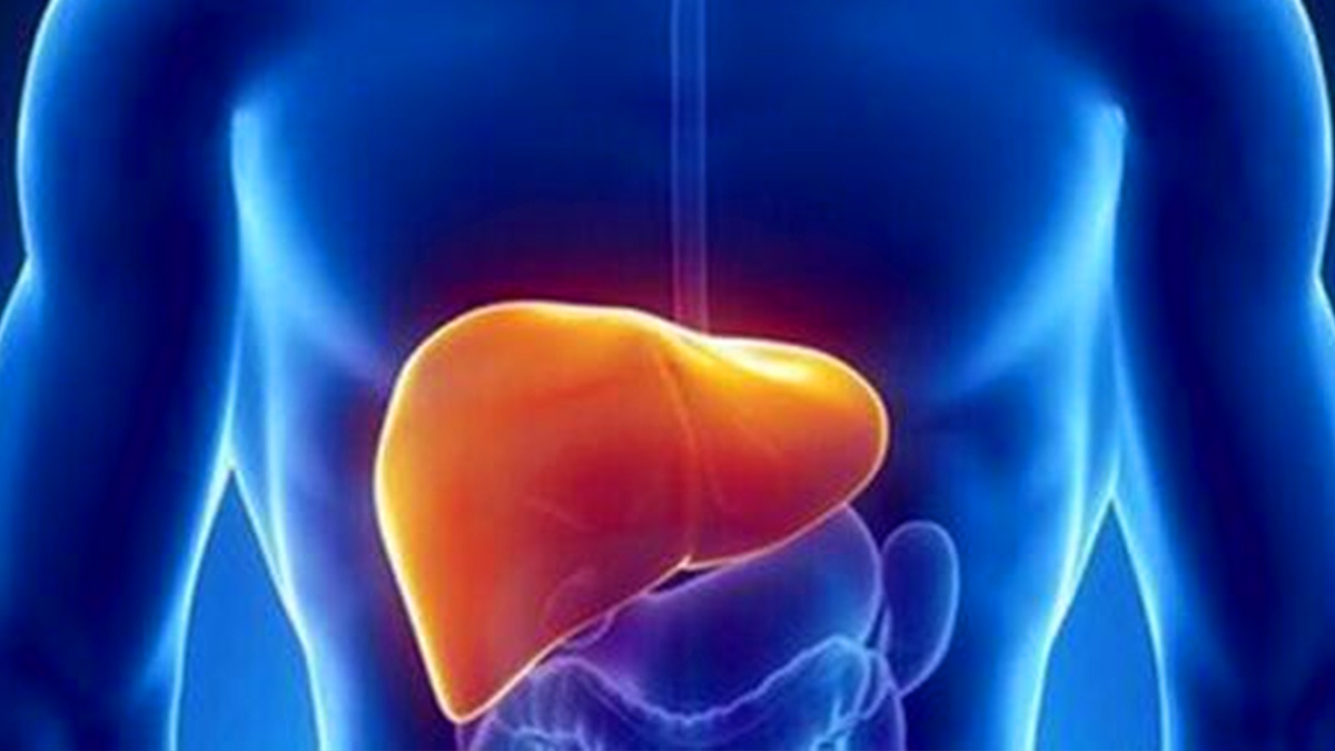 世界肝炎日：干细胞移植在肝病中的应用