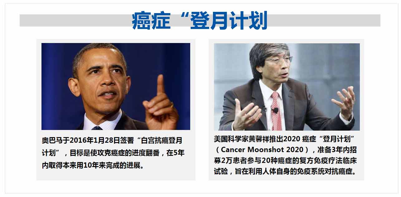 NK细胞免疫疗法在抗癌防癌中的作用研究