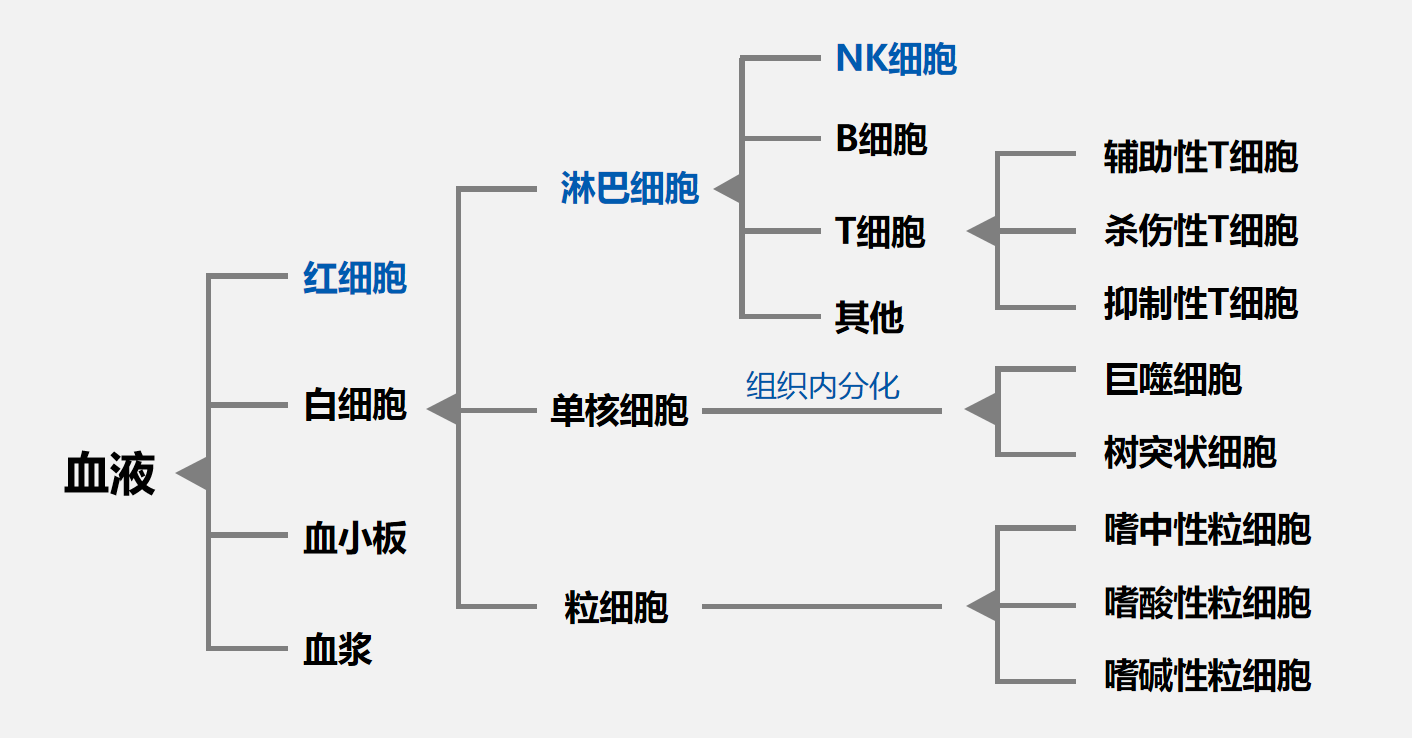 人体细胞分类表图片