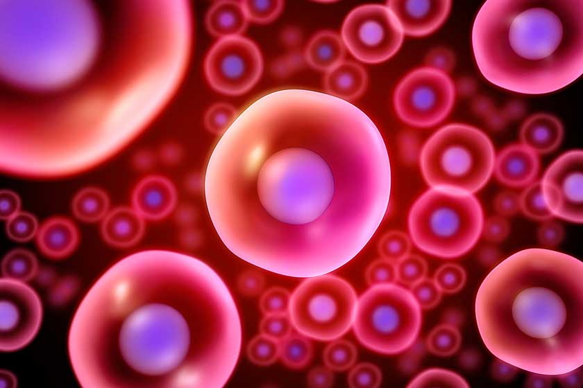 干细胞疗法治疗神经系统退行性疾病的最新研究