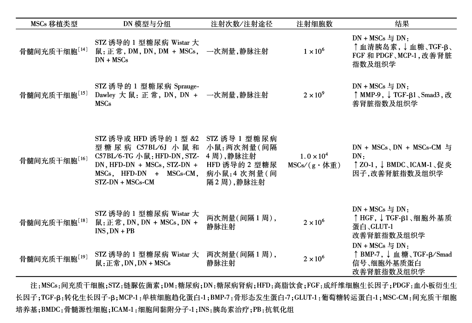 干细胞