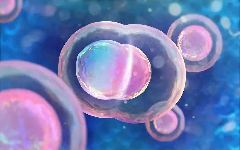 干细胞治疗为神经退行性疾病药物研发打开新格局