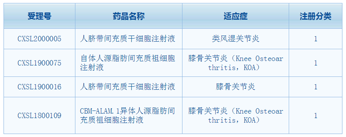 干细胞疗法