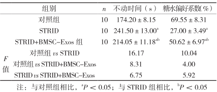 干细胞疗法