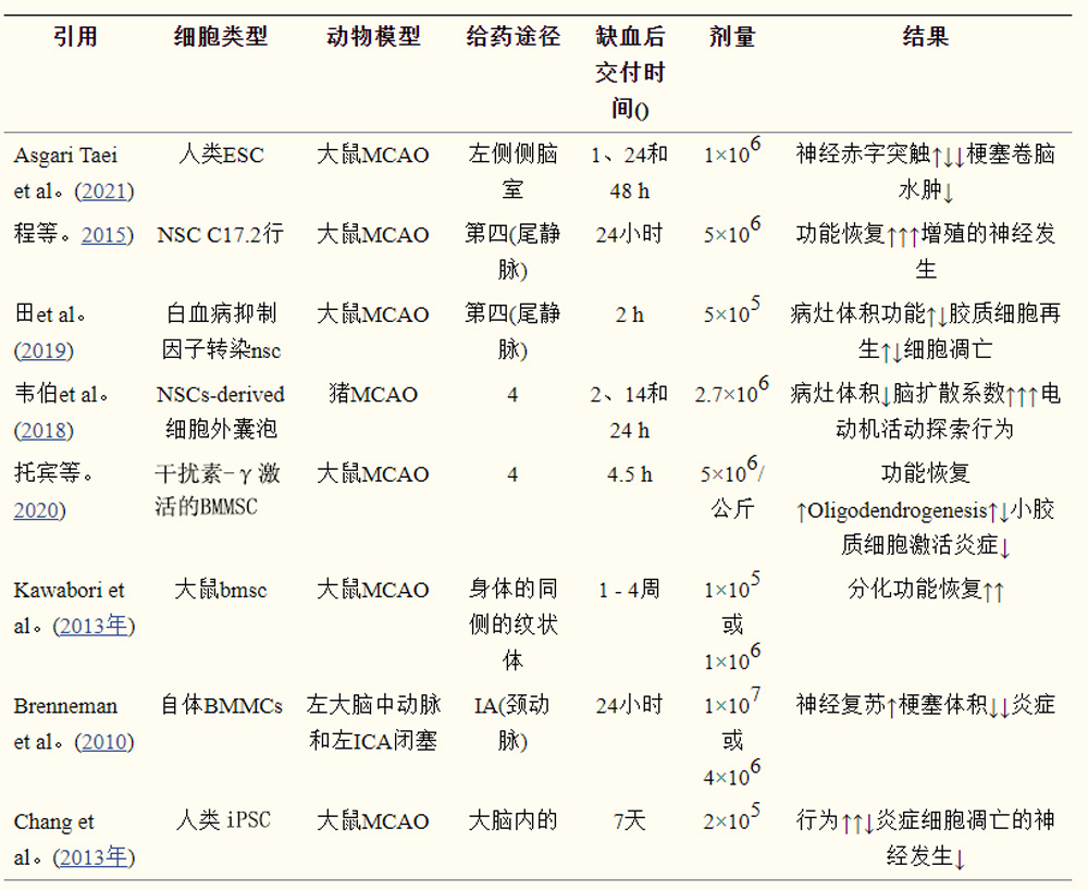 干细胞疗法