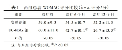 干细胞移植