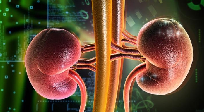 干细胞移植治疗难治性狼疮性肾炎9例：I 期临床试验