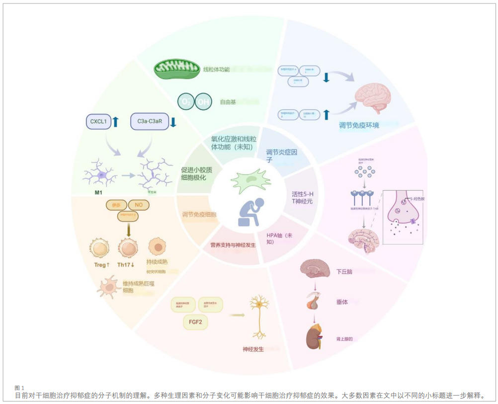 抑郁症临床研究