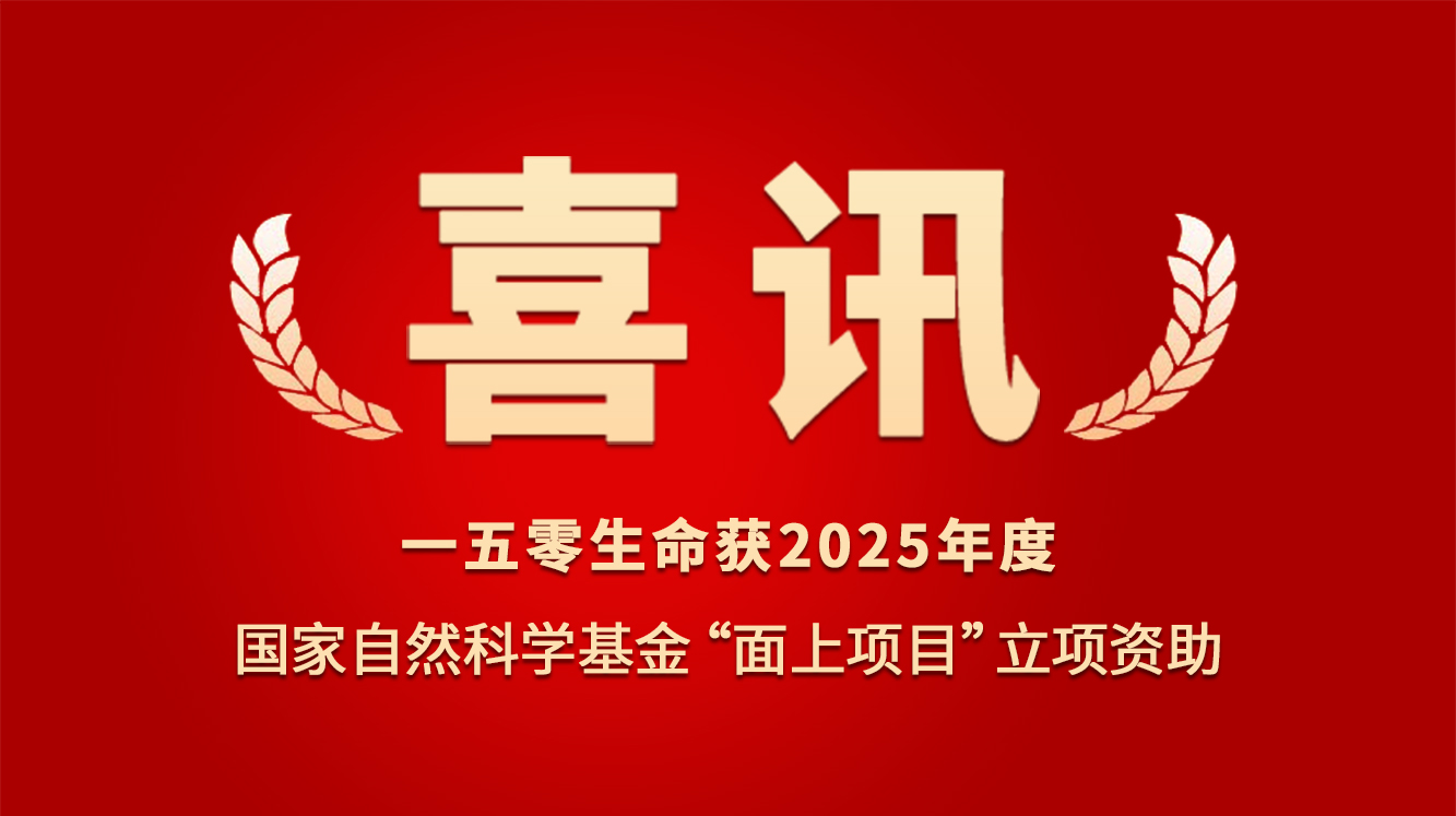 企业新闻