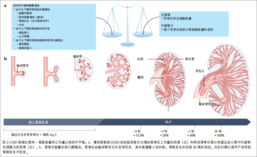 慢性肾病临床试验
