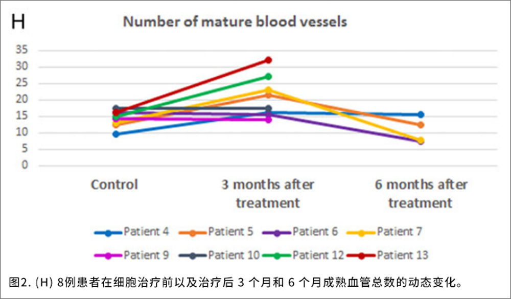 宫腔疾病临床试验