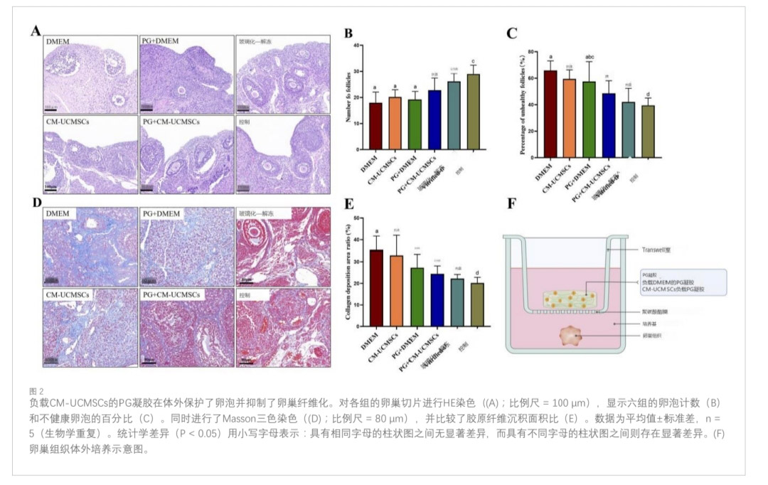 干细胞研究