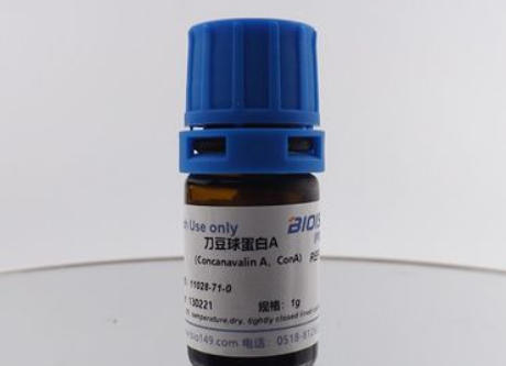 刀豆蛋白A